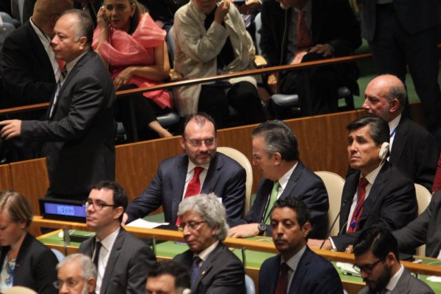 whatsapp image 2017-10-02 at 11.29.46 am